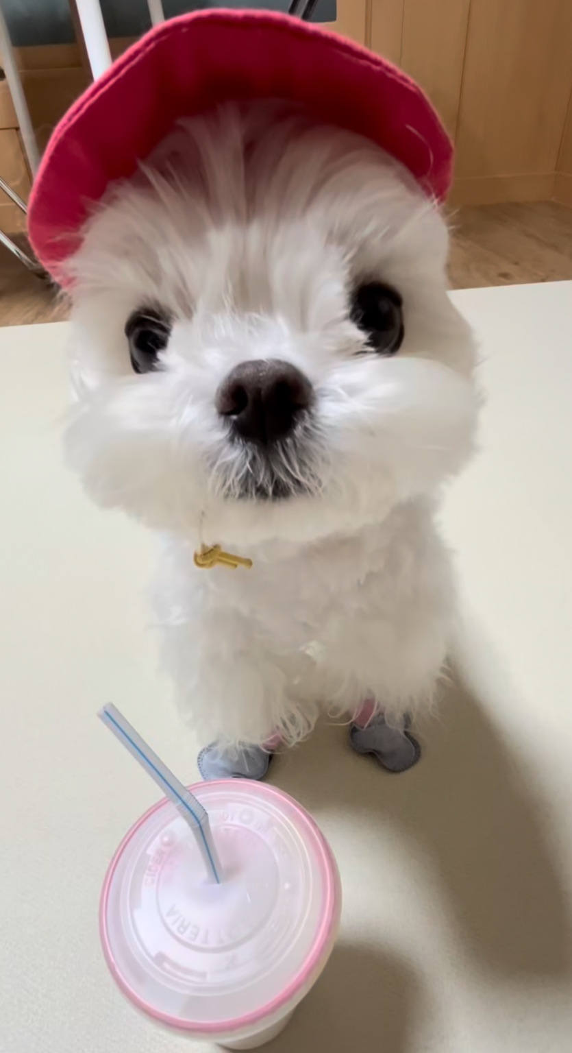 1등 11명 ㄷㄷ(0)