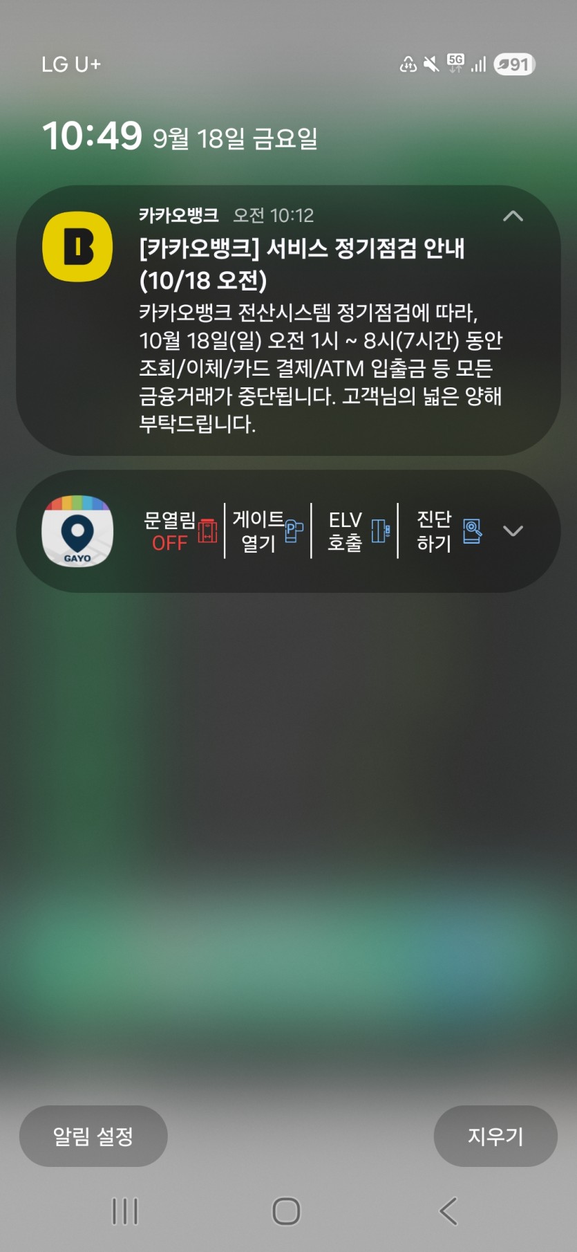 카뱅 점검 잇네용 .(0)