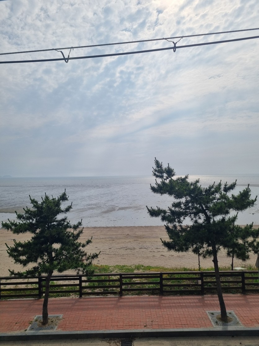아아 한잔에 6500콩 ㄷㄷ(0)