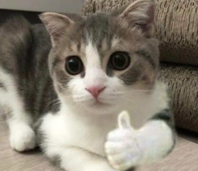 5시간뒤에 베트남 갑니다(0)