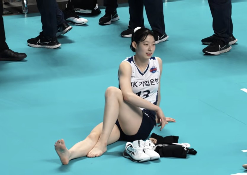 보배 귀요미들이 많네요(0)