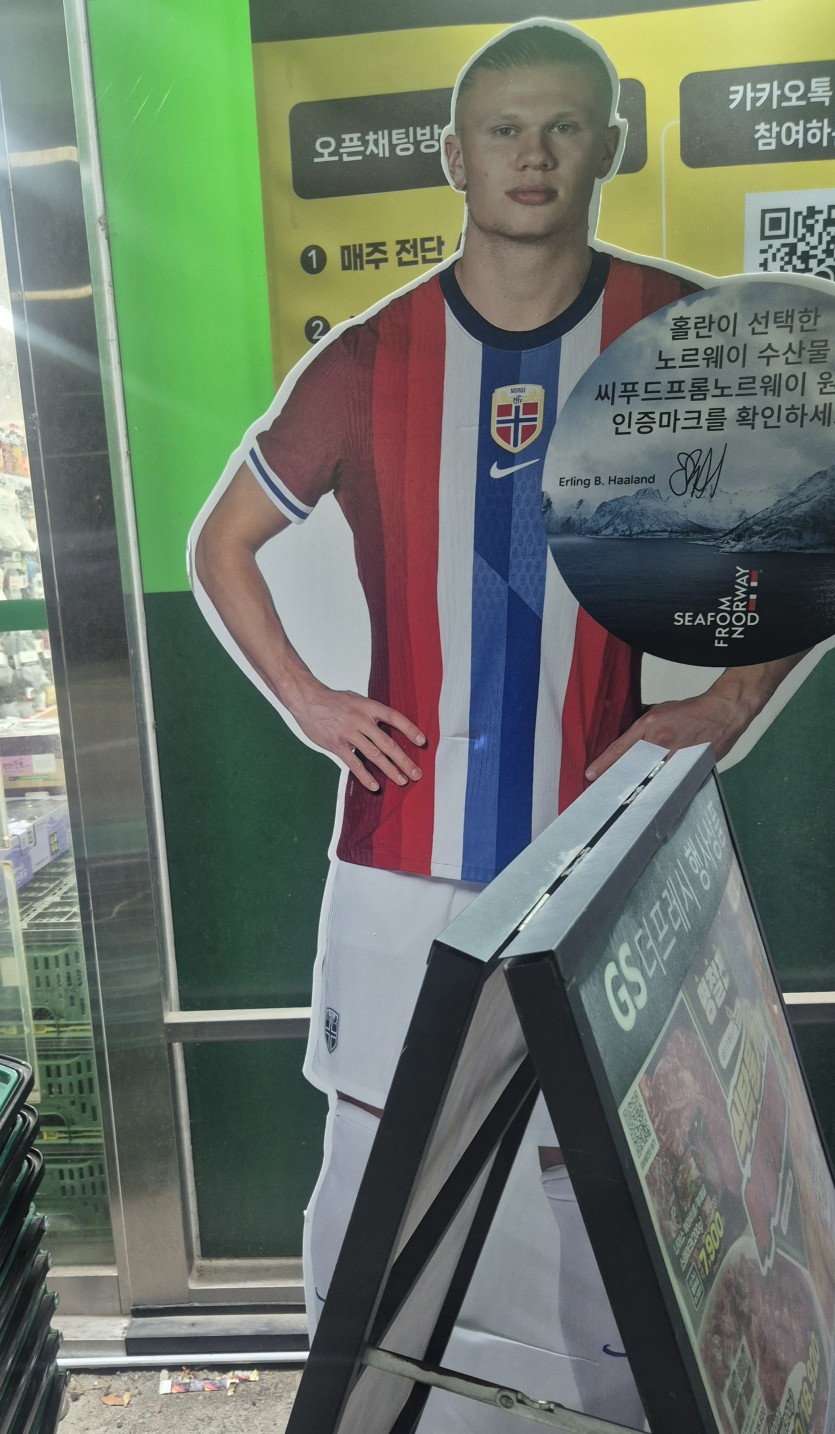 마트 앞에서 홀란드 만남 ㄷㄷ(0)
