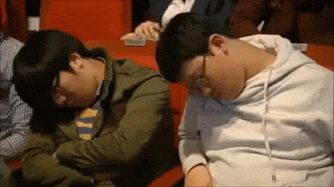 롤파크 익룡들 왜래많습니까(0)