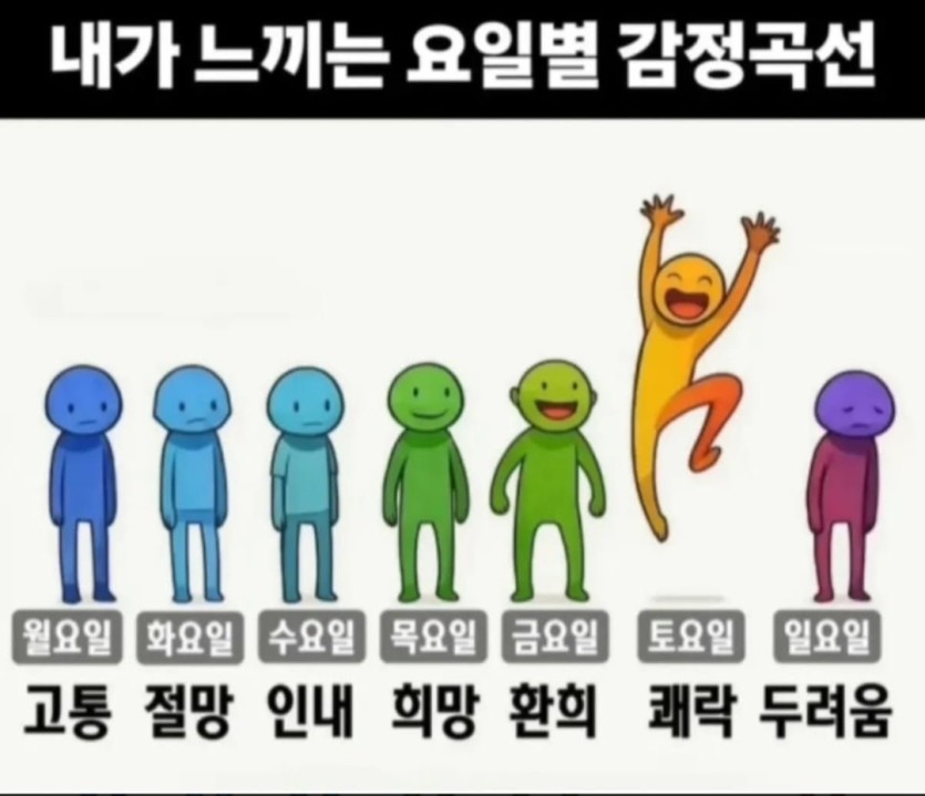 요일별 감정곡선(0)