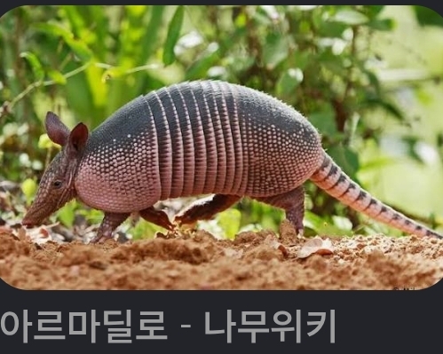 아름아딜도...(0)