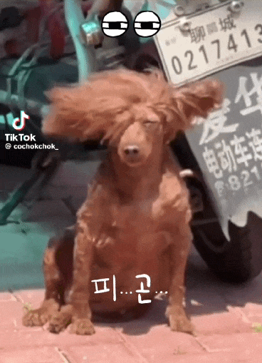 믈브베팅한 경기도 다 끝났고.(0)