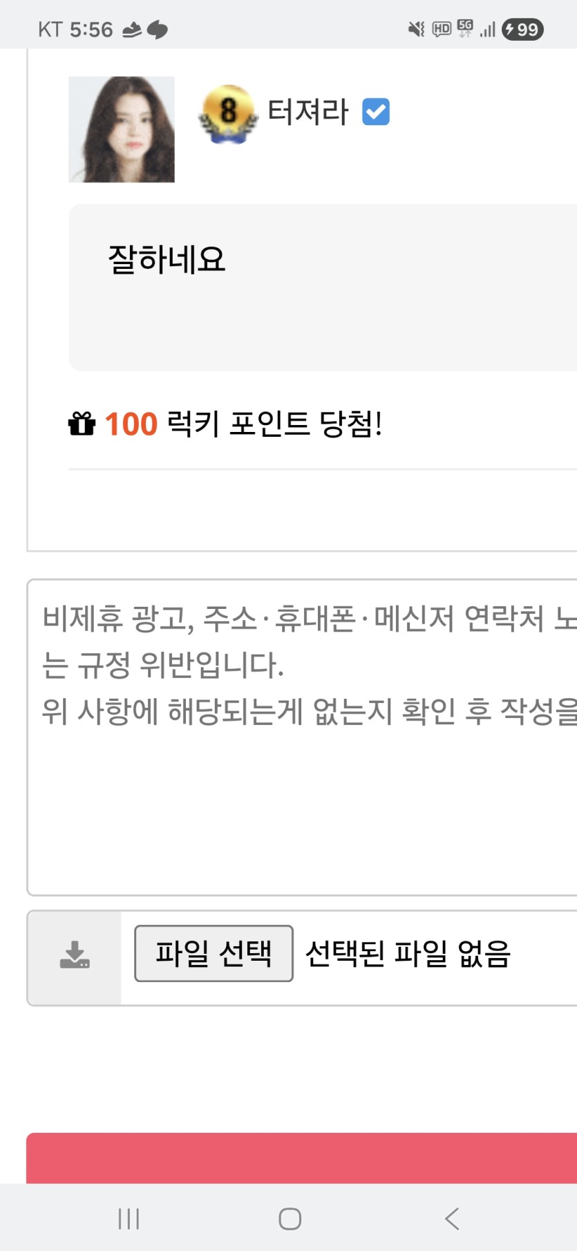 맥포가(0)