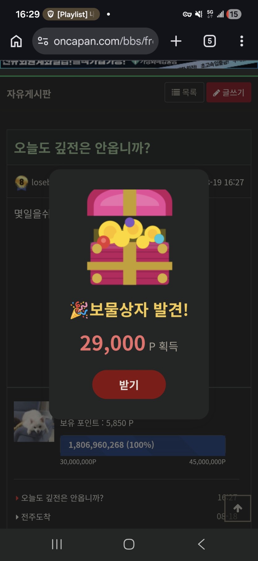 핑보특))(0)
