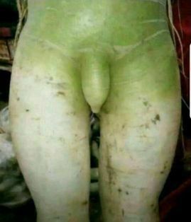 요즘 얃옹을 틀어놓고 댓노하는데(0)
