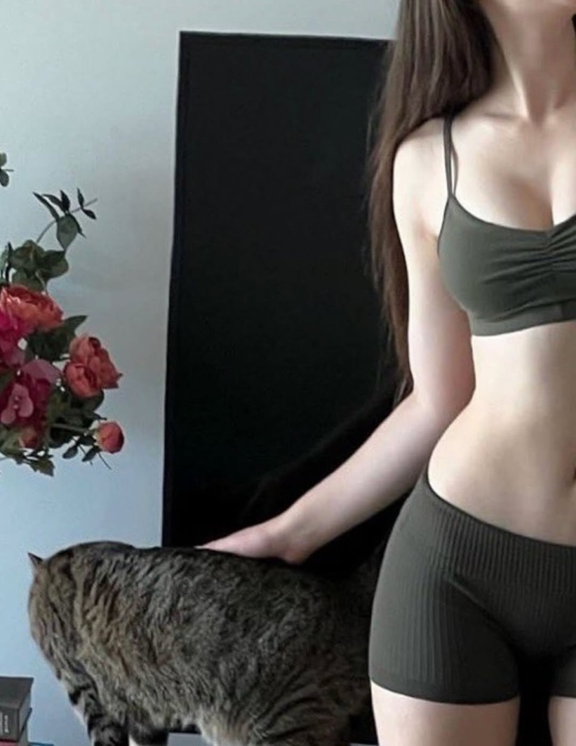 살이 도톰한 고양이(1)