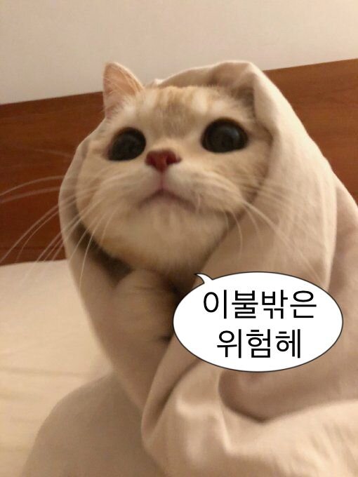 집도착이네요(0)