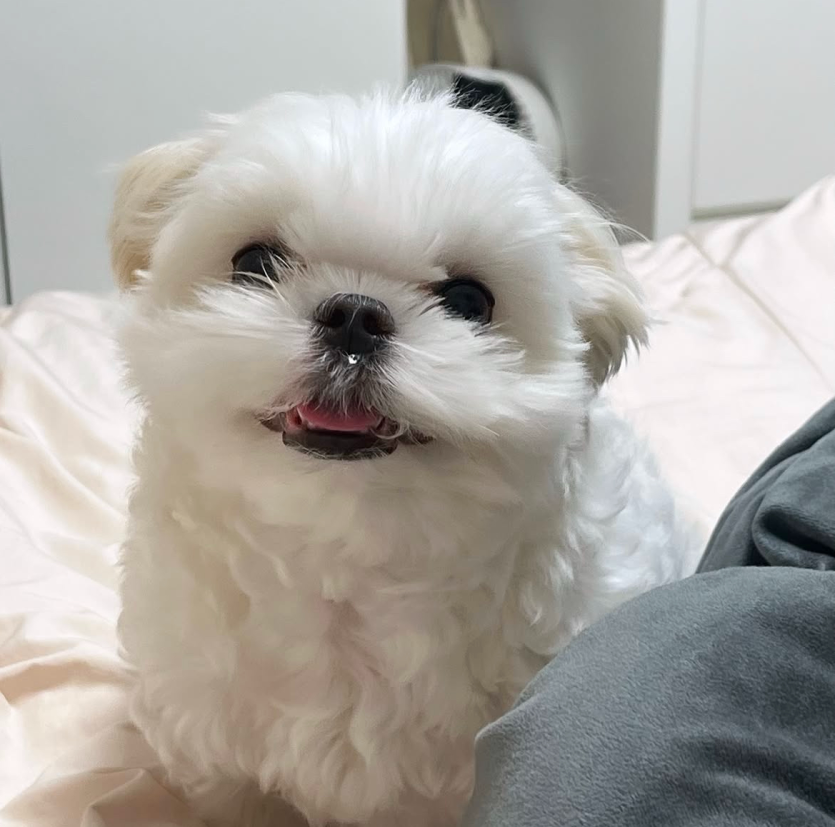 다시 역전가나요(0)