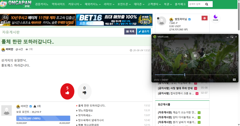 개인적으로 댓노는 이거보면서(0)