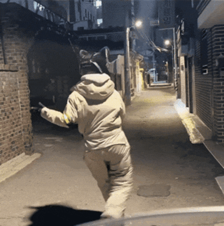 디크님 훈카파니 ㅅㅅㅅ!!!(0)