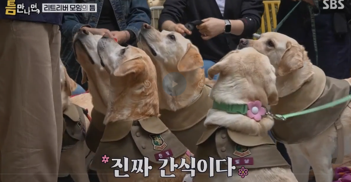어우 힐링을 해버렸습니다 ..(1)