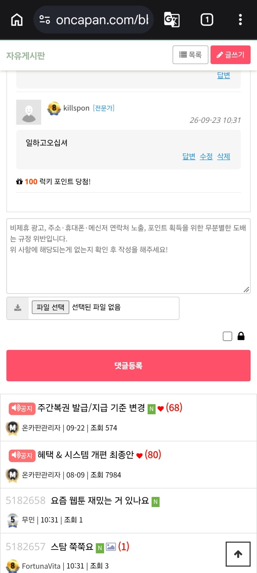 오호라 럭맥이(0)