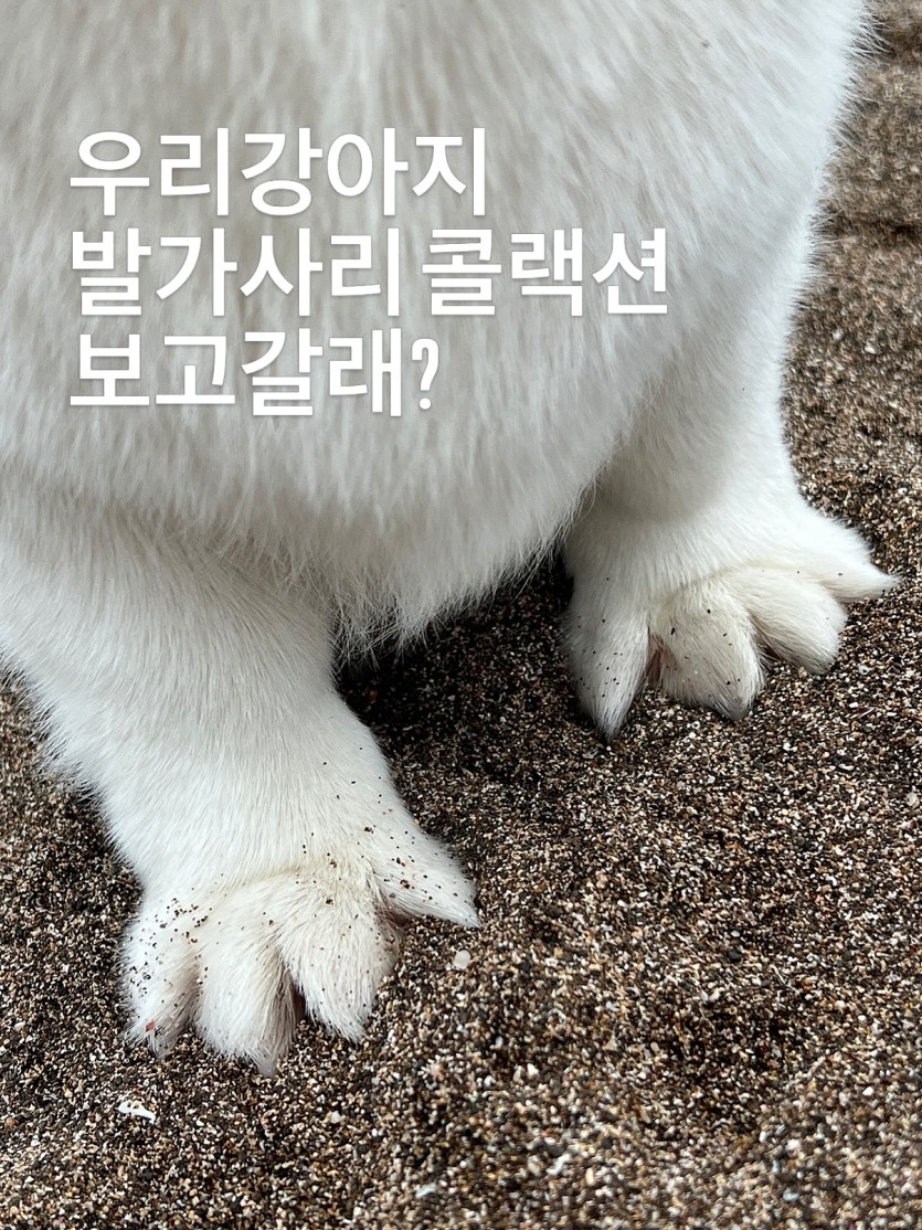 카와이(0)