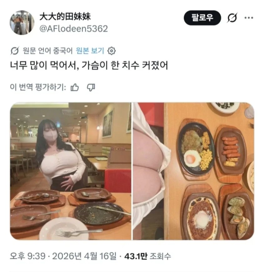 과식하면 안되는 이유(0)