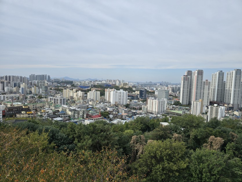 인천 구경왔답니다(0)