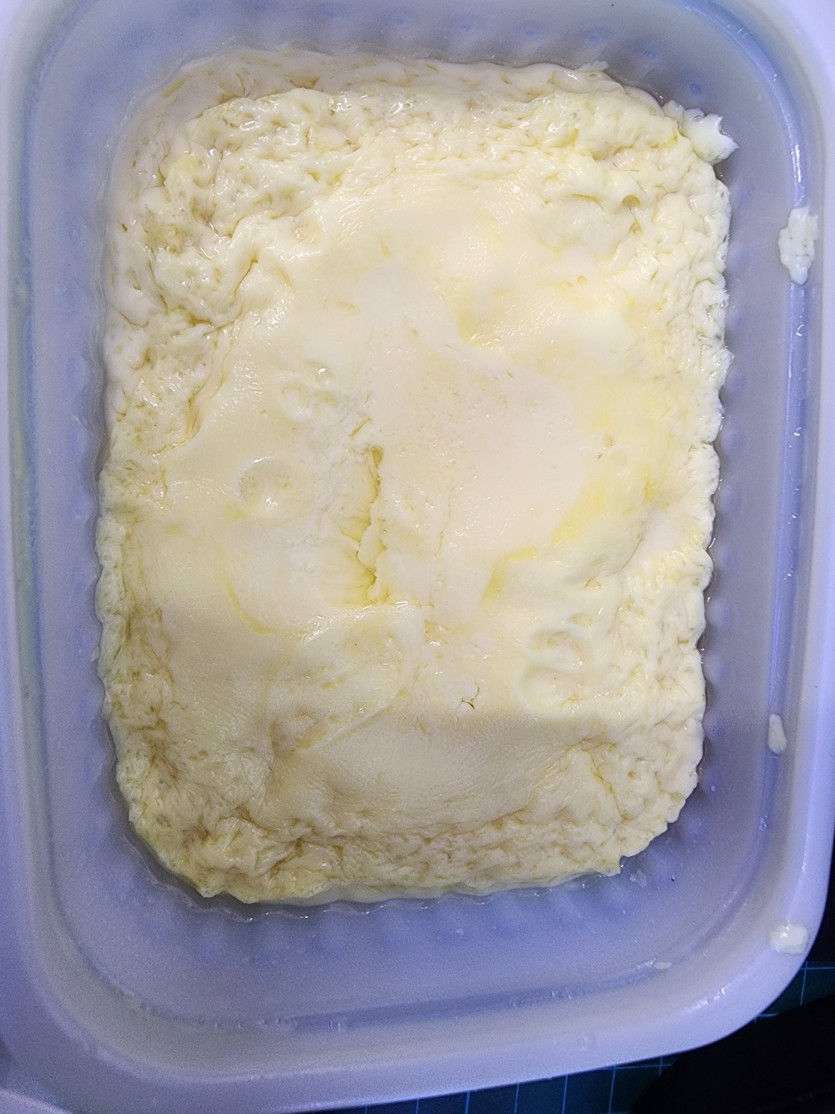 오늘의 야식은..?(1)