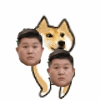 다들 산책 좋아하시나요(0)