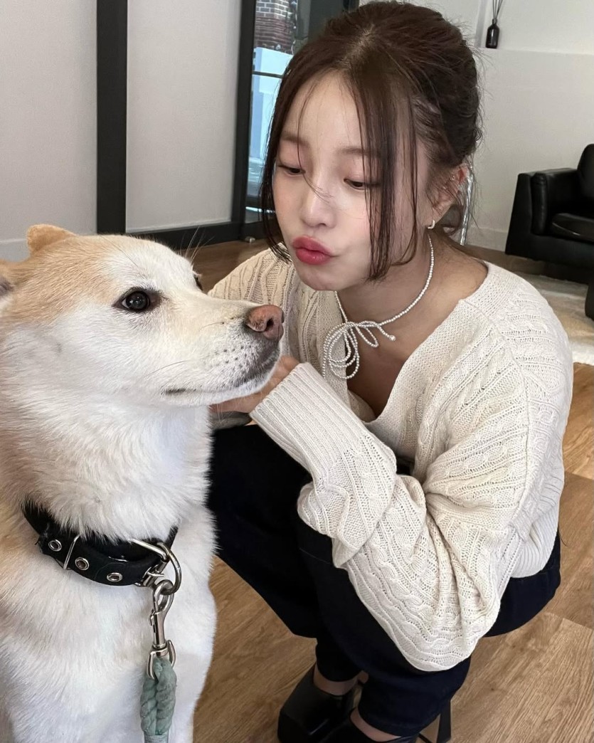 일어났습니다(0)