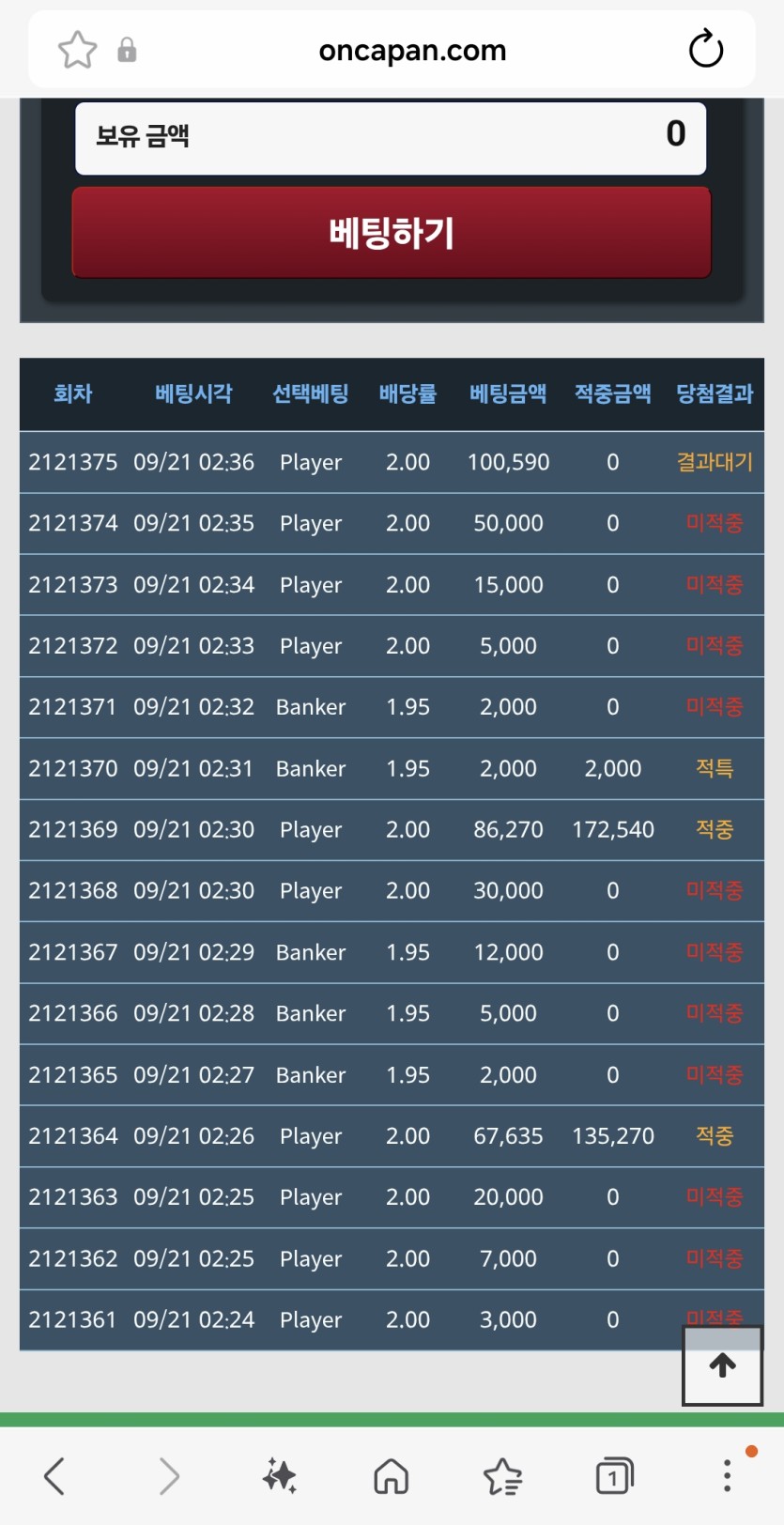 독사련 마틴까는데(0)
