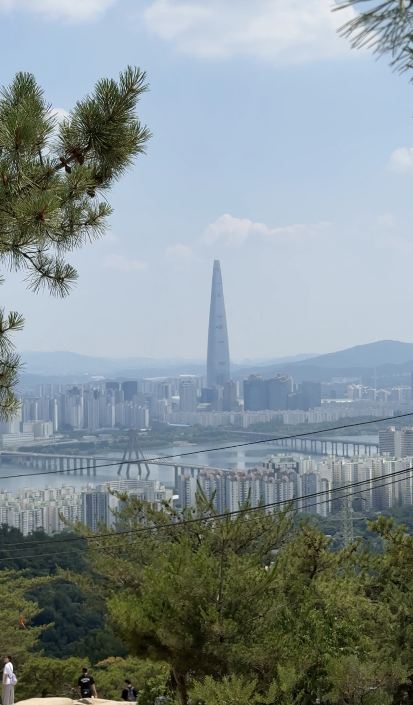 오늘은 다른 산 왔습니다(0)