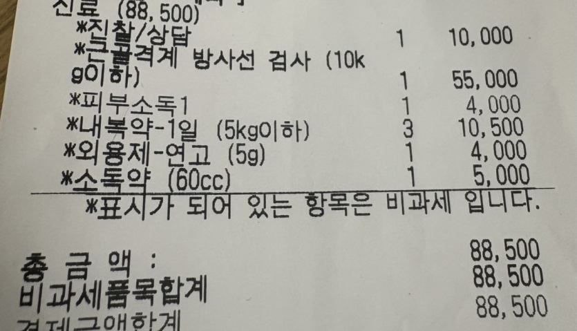 우리 강아지 교통사고 났었는데요..(0)