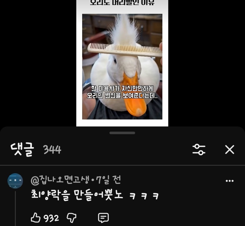 유튜브 댓글보다 많이본 말투 ㄷㄷ(0)