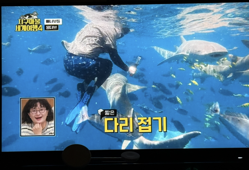 와 프리다이빙 하고 싶네요 ㄷㄷ(0)