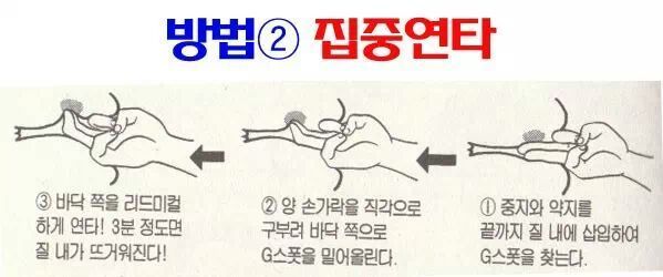 밤의 제왕...ㄷㄷ(0)