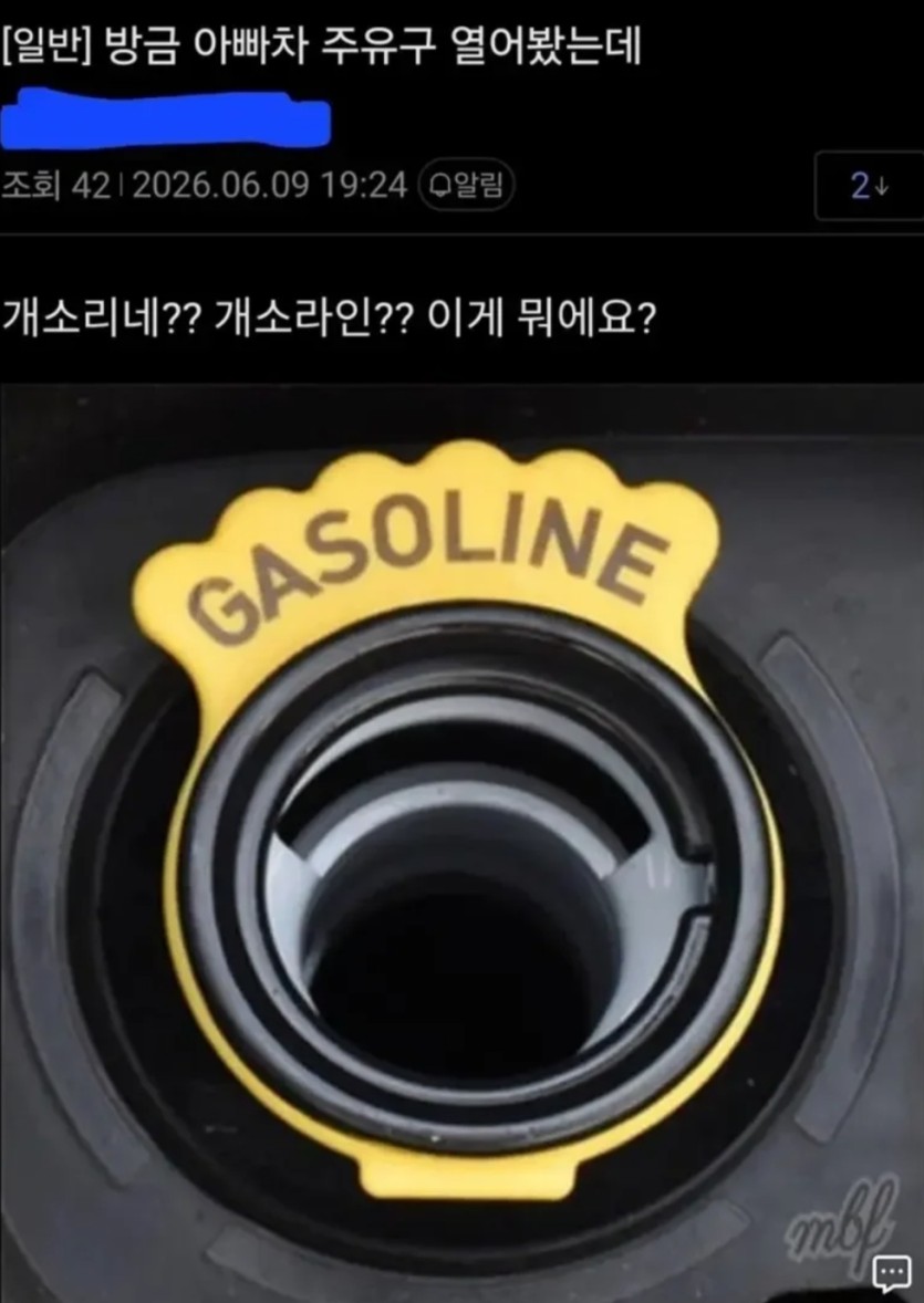 개소리네(0)