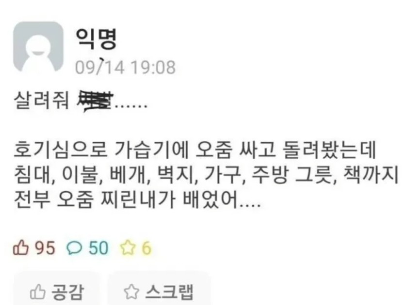 가습기(0)