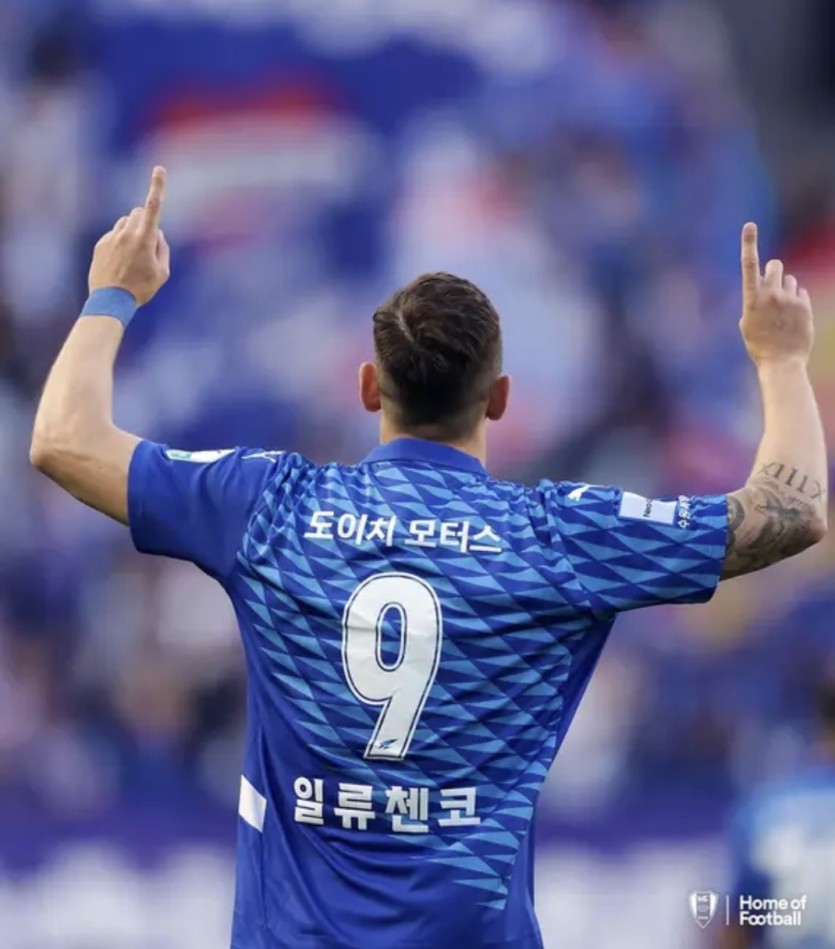 오후도 웃으며 욘짜요..(0)