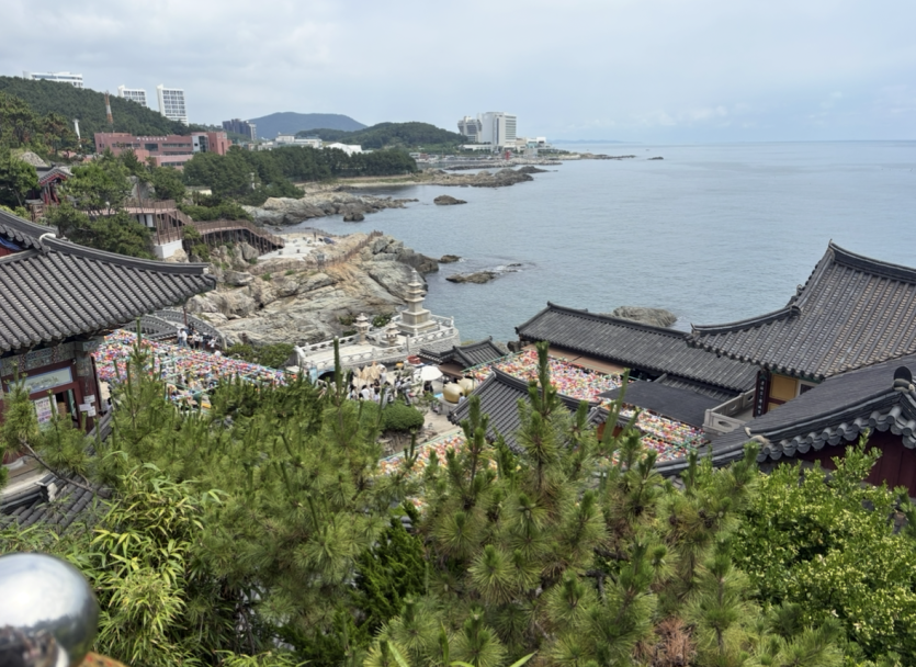 부처핸스업 호호..(1)