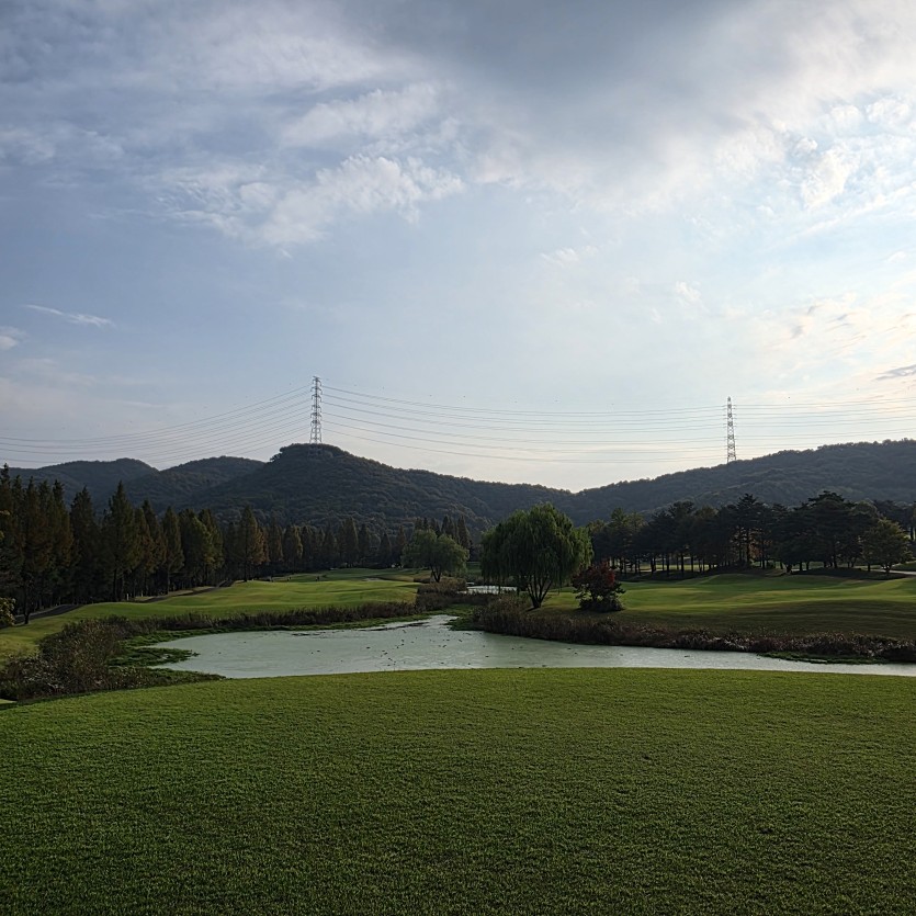 아침운동(0)