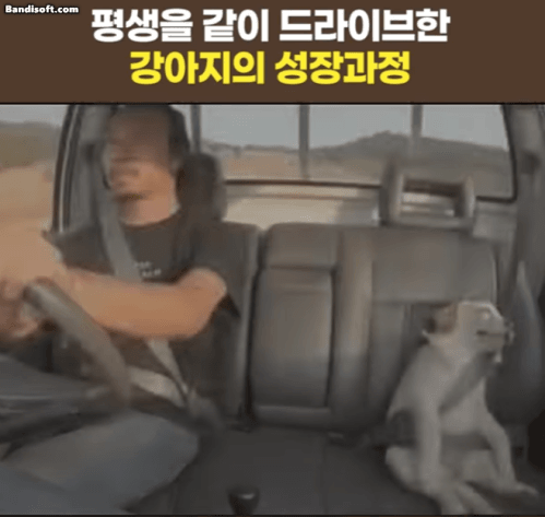 아 머리가 또 뜨거워지네(0)