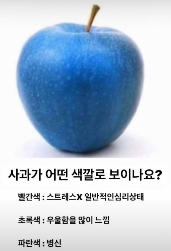 사과가 어떤 색깔로 보이시나요?(0)