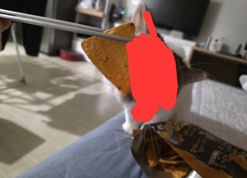 ㄱㅇㅇ 나쵸 좋아하네요(0)