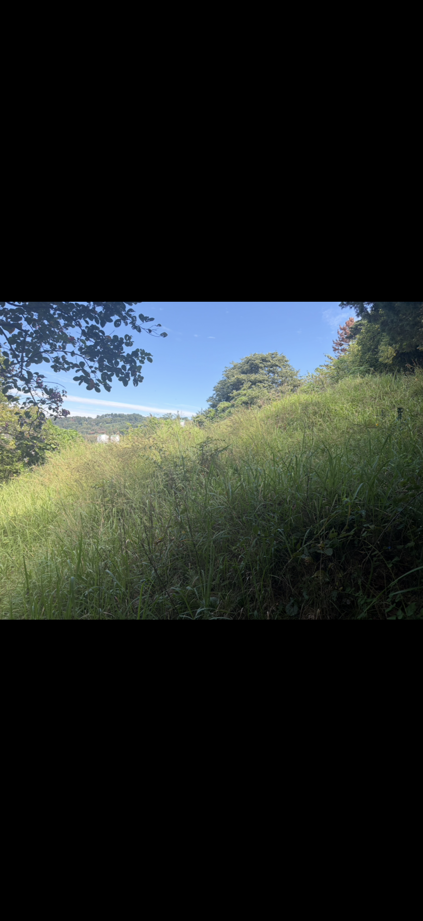 오늘 작업도(0)