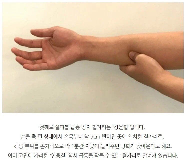 진짜 살면서(0)
