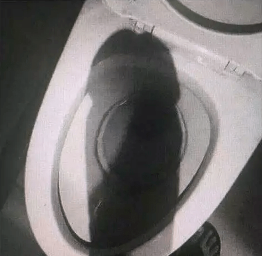 노돌이라니....(0)