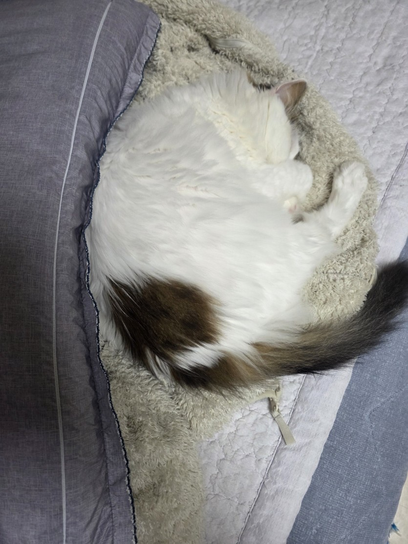 ㄱㅇㅇ 어디갔나했더니(0)