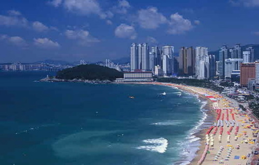 핵부산이 미래다...(0)