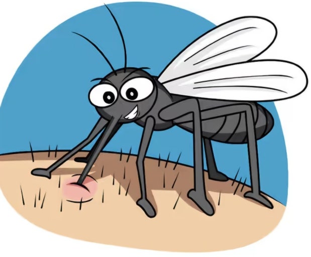 목이 진짜 골때리네....(0)