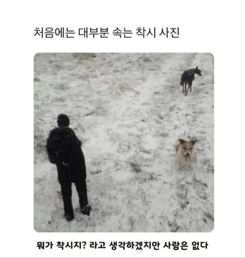대부분 속는 착시 사진(0)