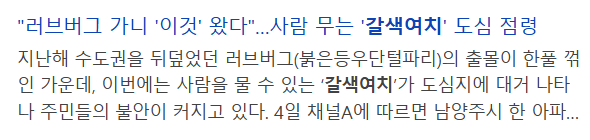 러브버그말고 새로운 사람무는해충등장(0)