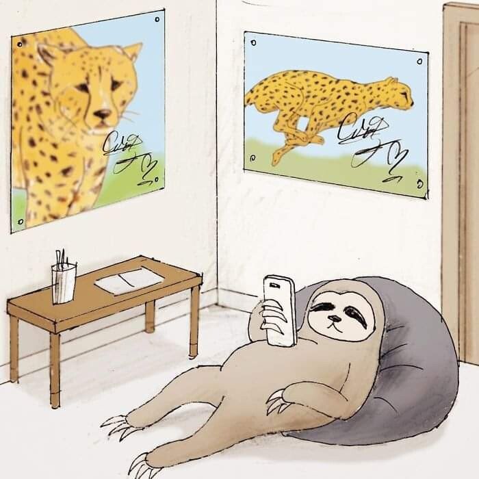 더울땐 집콕이죠(0)