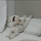 지금인가요(0)